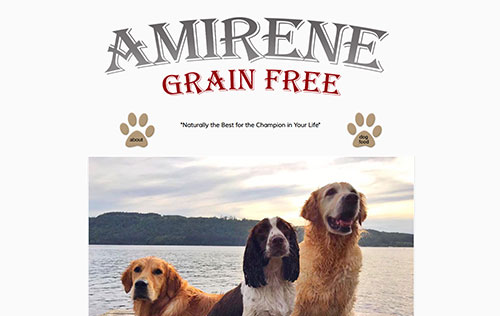Amirene Grain Free website by Ballynet