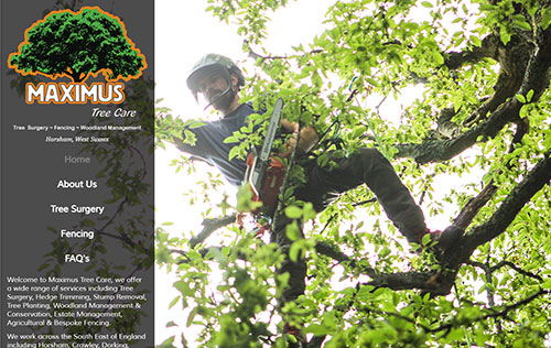 Maximus Tree Care website by Ballynet